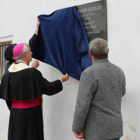 3. Odhalení pamětní desky prof. Vladimíru Boublíkovi