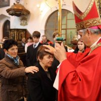 5. Biřmování z rukou otce biskupa Vlastimila Kročila