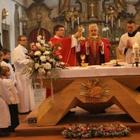 12. Biřmování z rukou otce biskupa Vlastimila Kročila