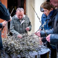 8. Liturgie Květné neděle