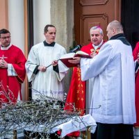 7. Liturgie Květné neděle