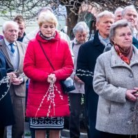 6. Liturgie Květné neděle