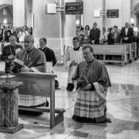 20. Kněžské svěcení 24. června 2017