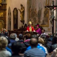 7. Biřmování z rukou otce biskupa Vlastimila Kročila