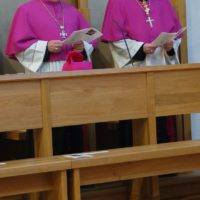 6. Instalace nových kanovníků a jmenování generálního vikáře