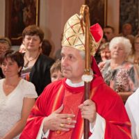 2. Biřmování 14.června 2015 – Veselí nad Lužnicí