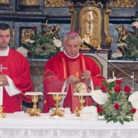 8. Biřmování 14.června 2015 – Veselí nad Lužnicí