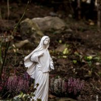 8. Otevírání Svaté Brány, Dobrá Voda u Nových Hradů