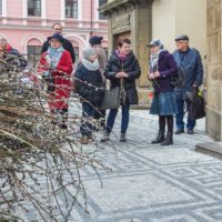 12. Květná neděle v katedrále sv. Mikuláše