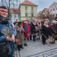 Květná neděle v katedrále sv. Mikuláše