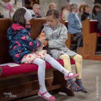 6. Poutní mše svatá k oslavě sv. Jana N. Neumanna