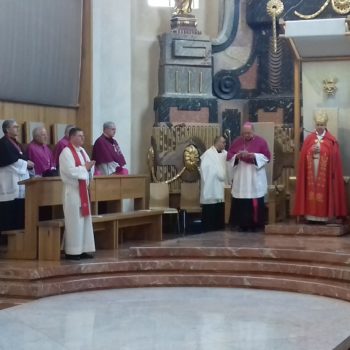 Slavnost sv. Auraciána 2018 – udělení diecézních ocenění 7