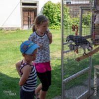 14. Setkání přátel Duhy a Papežských misijních děl