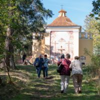 7. Poutní mše svatá v Česticích