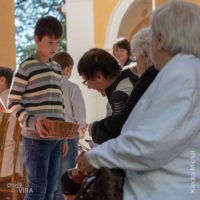 11. Poutní mše svatá v Česticích