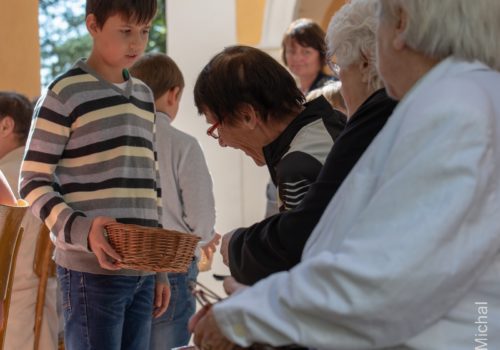 Poutní mše svatá v Česticích 3