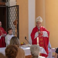 4. Poutní mše svatá v Česticích