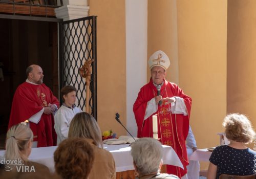 Poutní mše svatá v Česticích 2