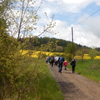 2. Ze Lnář do Kasejova (a s deštěm)