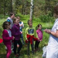 11. Vikariátní pouť dětí a rodin