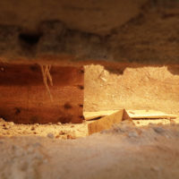 25. Vyzvednutí ostatků bl. Jindřicha Libraria