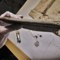 19. Vyzvednutí ostatků bl. Jindřicha Libraria