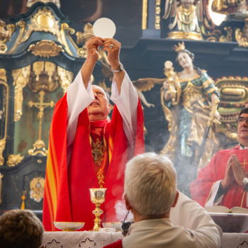 Udílení biřmování v Pelhřimově 7