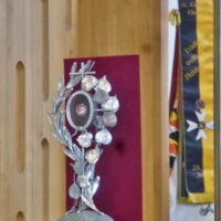 12. Instalace relikvie bl. Karla I.