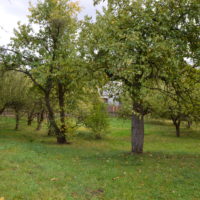 8. PRODEJ FARY TUČAPY – FOTODOKUMENTACE