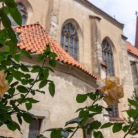 1. 50. výročí kněžského svěcení P. Karla Vrby