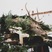 1. Adventní Hubertská na Hluboké