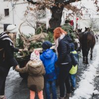 5. Adventní Hubertská na Hluboké