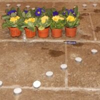 8. Mouřenec: Solidarita s Ukrajinou