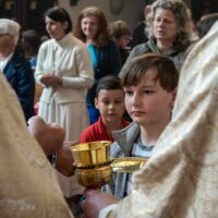 8. Festival rodin Nové Hrady