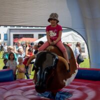 10. Festival rodin Nové Hrady