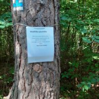 2. CHROBOLY: Malá lesní pouť