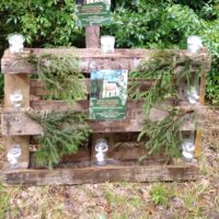 3. CHROBOLY: Malá lesní pouť