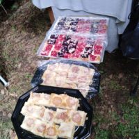 17. CHROBOLY: Malá lesní pouť