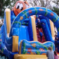 20. CHROBOLY: Hlavní mariánská pouť