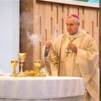 17. Č. Budějovice: Svátek Uvedení Páně do chrámu