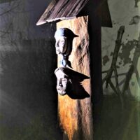 16. BOROVANY: Extrémní Křížová Cesta