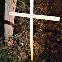 17. BOROVANY: Extrémní Křížová Cesta