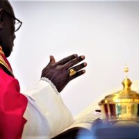 22. Kardinál Robert Sarah v Římově