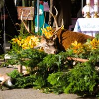 6. LAŽIŠTĚ: Svatohubertská slavnost k 60. výročí založení mysliveckého spolku