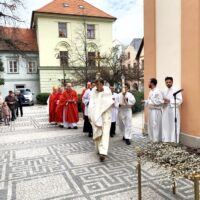 3. Květná neděle v Českých Budějovicích