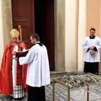 4. Květná neděle v Českých Budějovicích