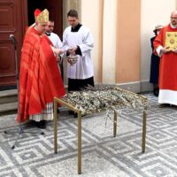 7. Květná neděle v Českých Budějovicích
