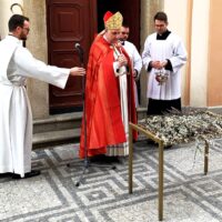 8. Květná neděle v Českých Budějovicích