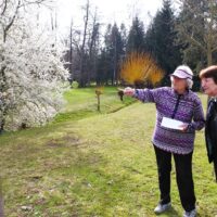 6. Č. BUDĚJOVICE: „Pochod pro mozek“ 2024