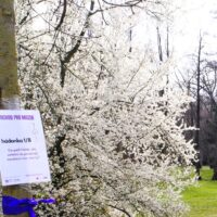 7. Č. BUDĚJOVICE: „Pochod pro mozek“ 2024
